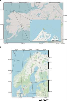 Capturing environmental DNA in snow tracks of polar bear, Eurasian lynx and snow leopard towards individual identification